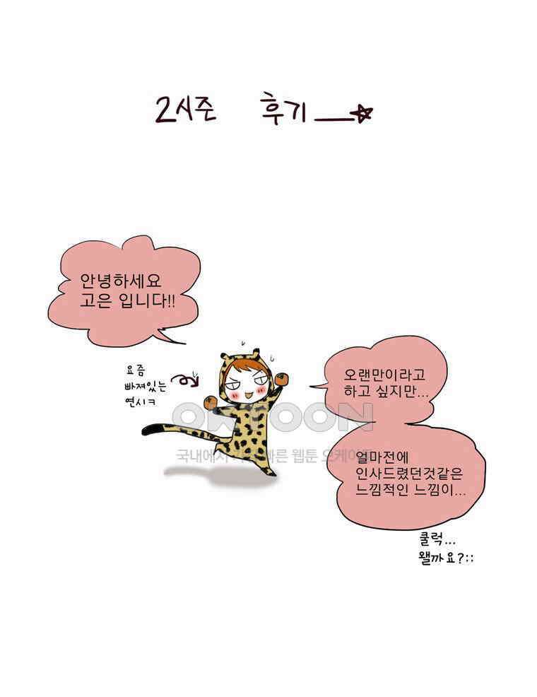 제비전 시즌2 후기 1