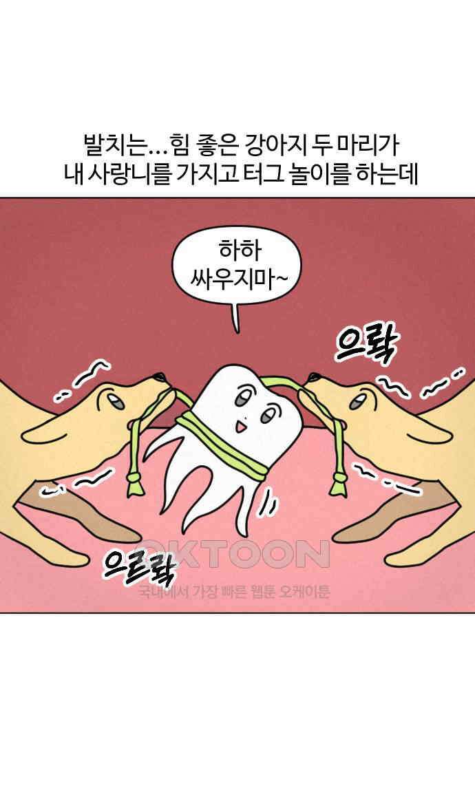 쌉초의 난 41화 사랑니 18