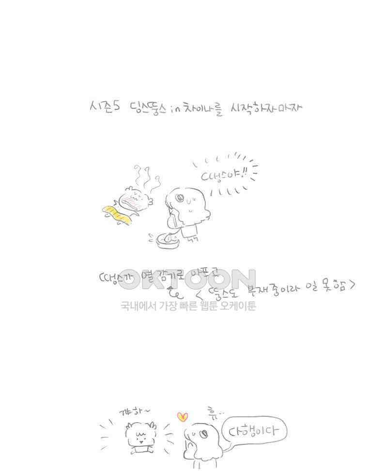 딩스뚱스 [중국] 시즌5 후기 21