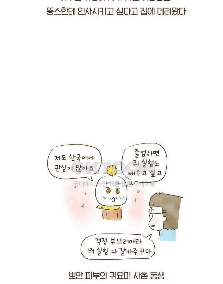 딩스뚱스 125화 한류 열풍의 현장 4