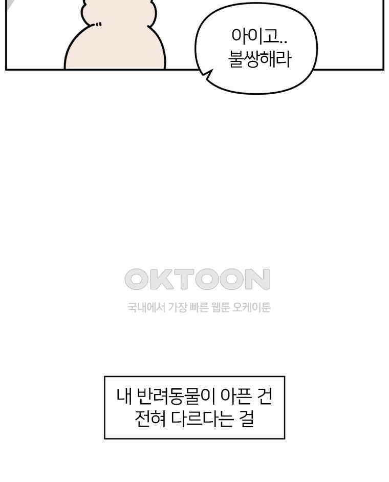 어쩌다 햄스터 44． 모모가 아프다 14