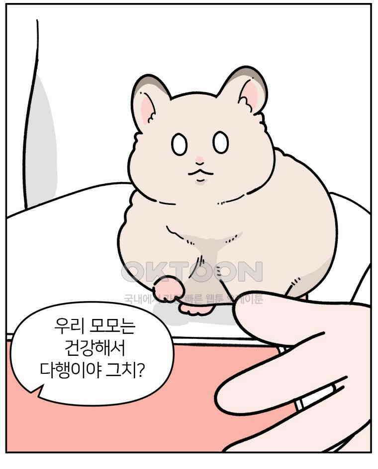 어쩌다 햄스터 44． 모모가 아프다 15