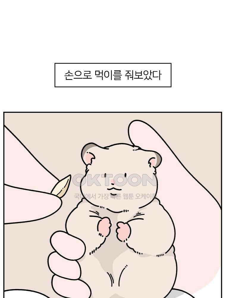 어쩌다 햄스터 46． 어느 날 아침 12