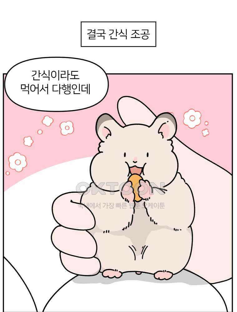 어쩌다 햄스터 46． 어느 날 아침 17