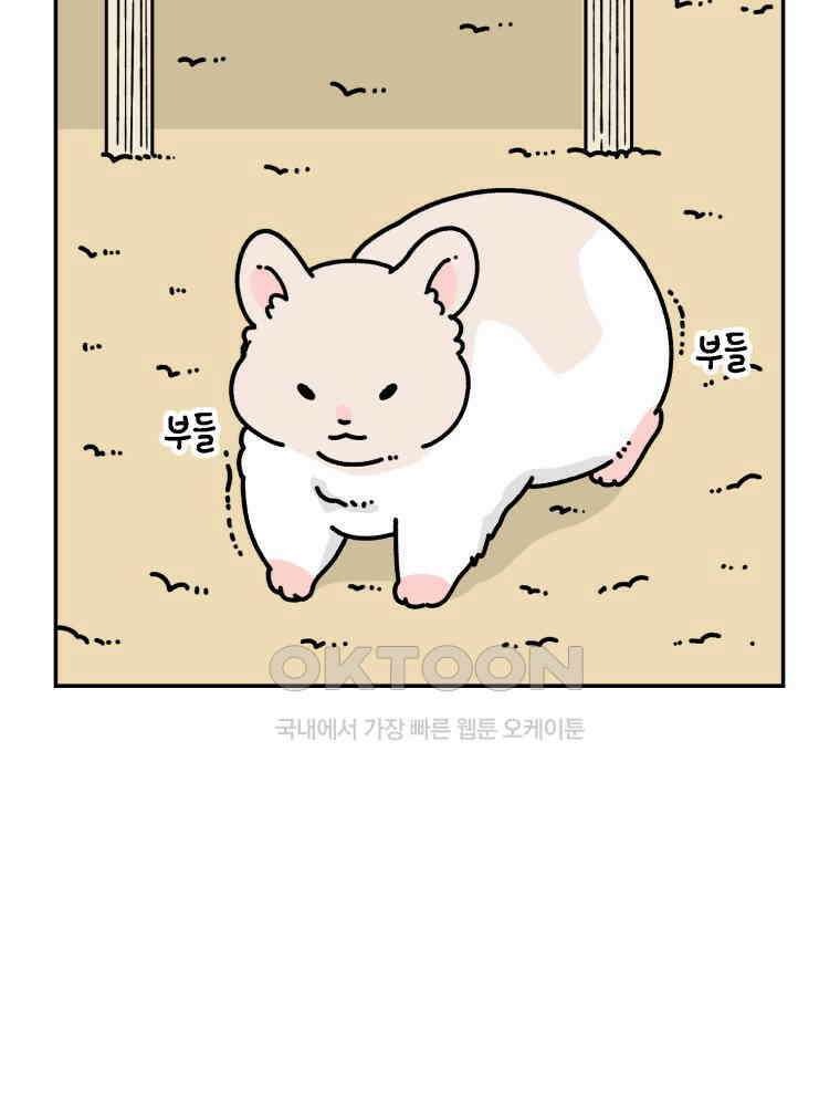 어쩌다 햄스터 49． 이별의 시간 (2) 2