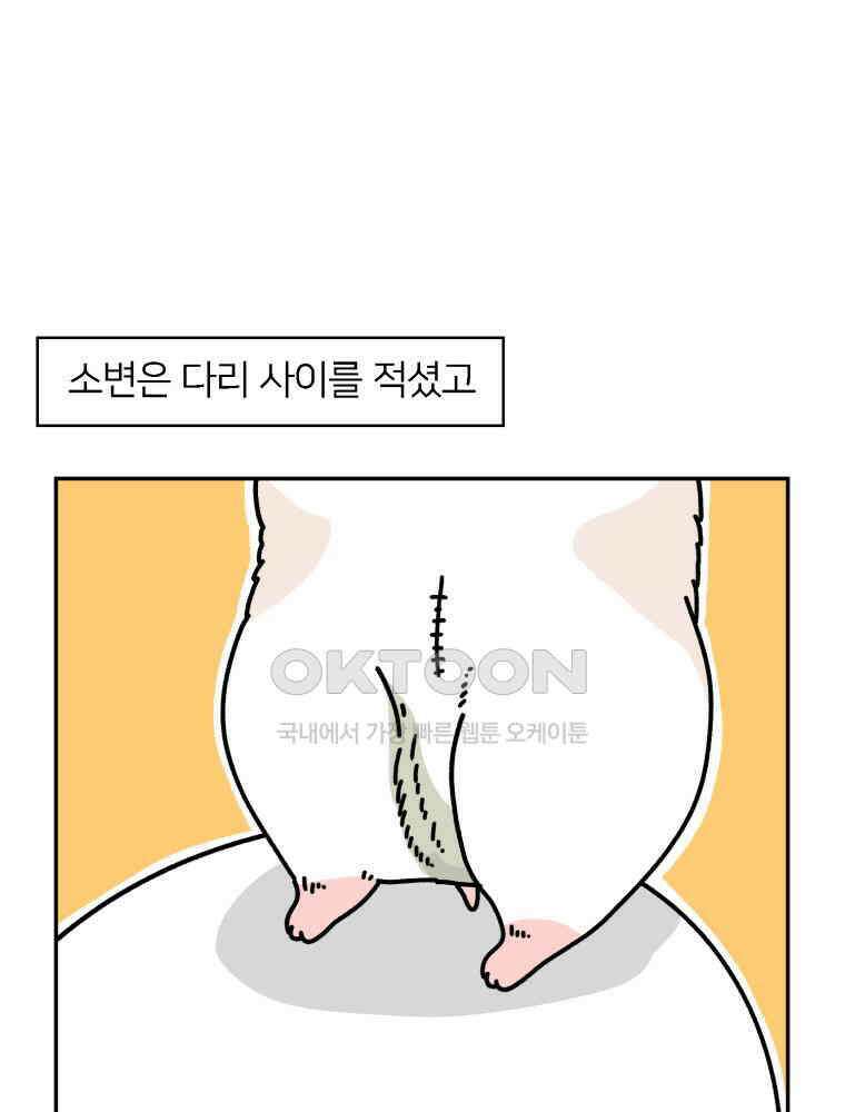어쩌다 햄스터 49． 이별의 시간 (2) 3