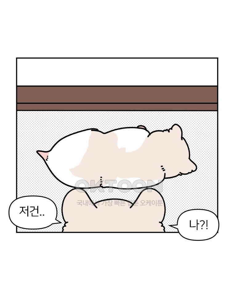 어쩌다 햄스터 외전 1． 새로운 곳 8
