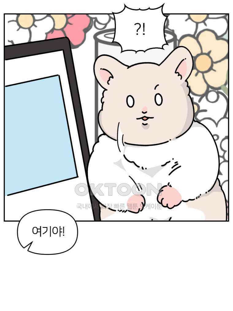 어쩌다 햄스터 외전 1． 새로운 곳 13