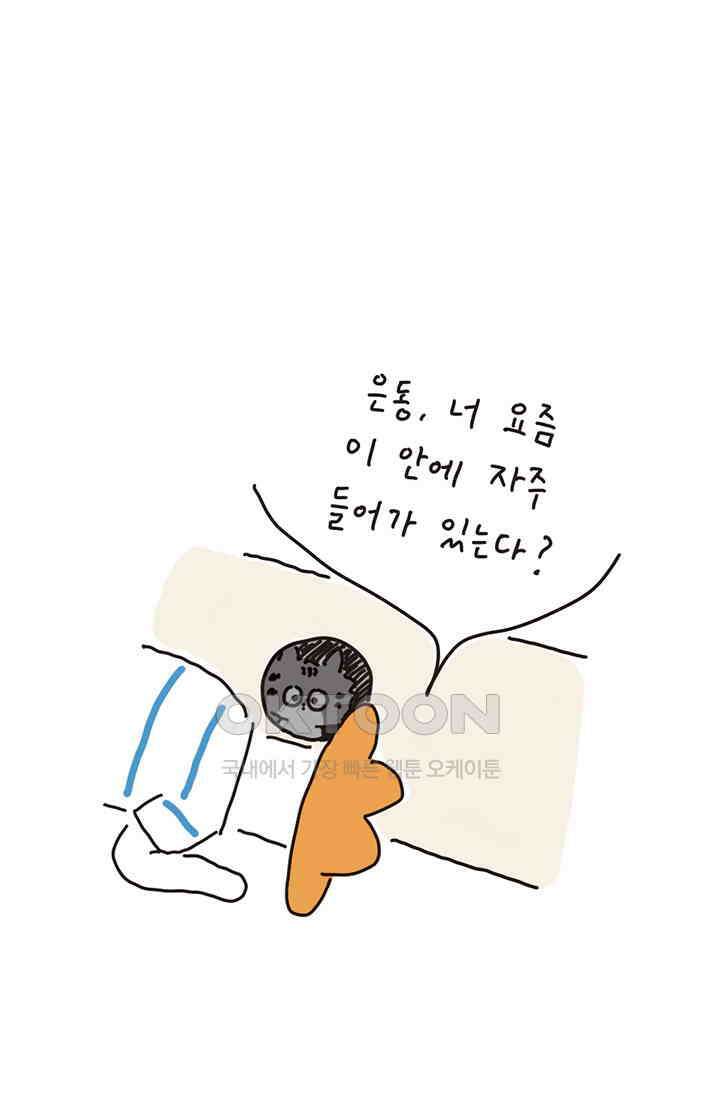 은동스+옹동스 은동스 181화． 우리의 캣타워 3