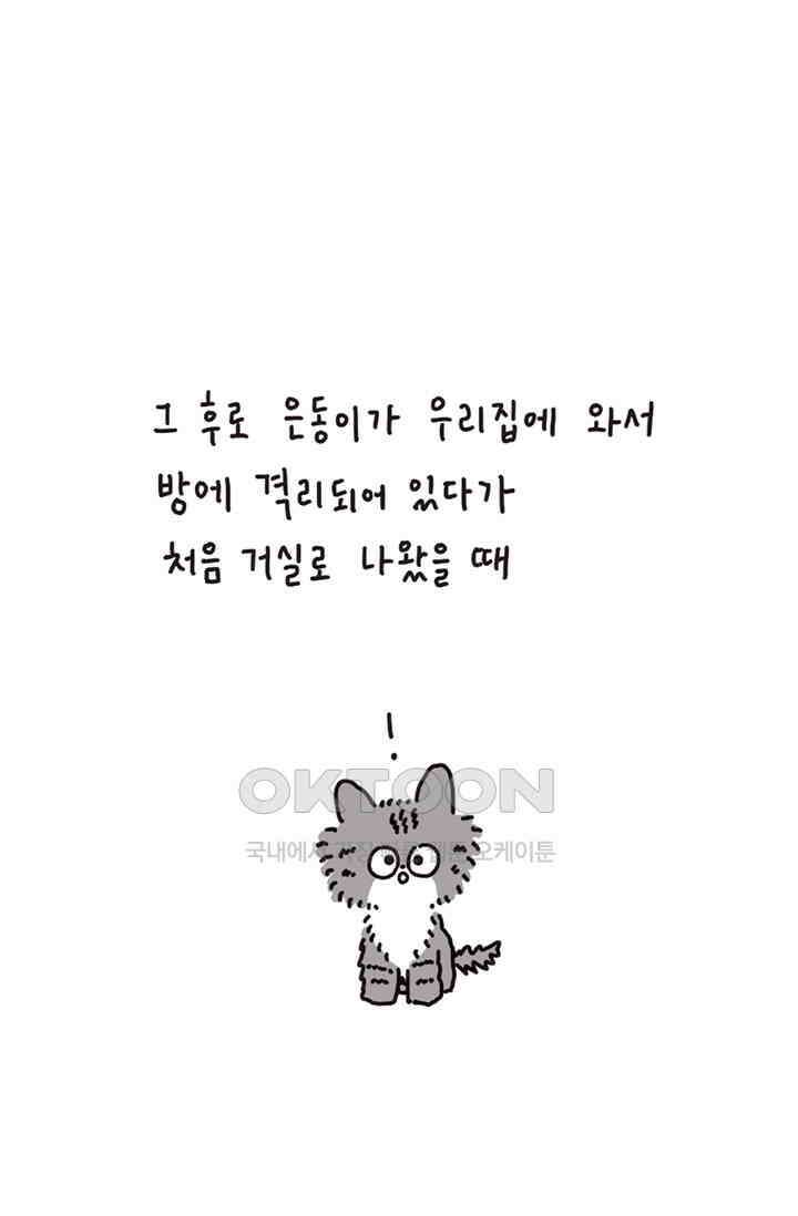 은동스+옹동스 은동스 181화． 우리의 캣타워 9