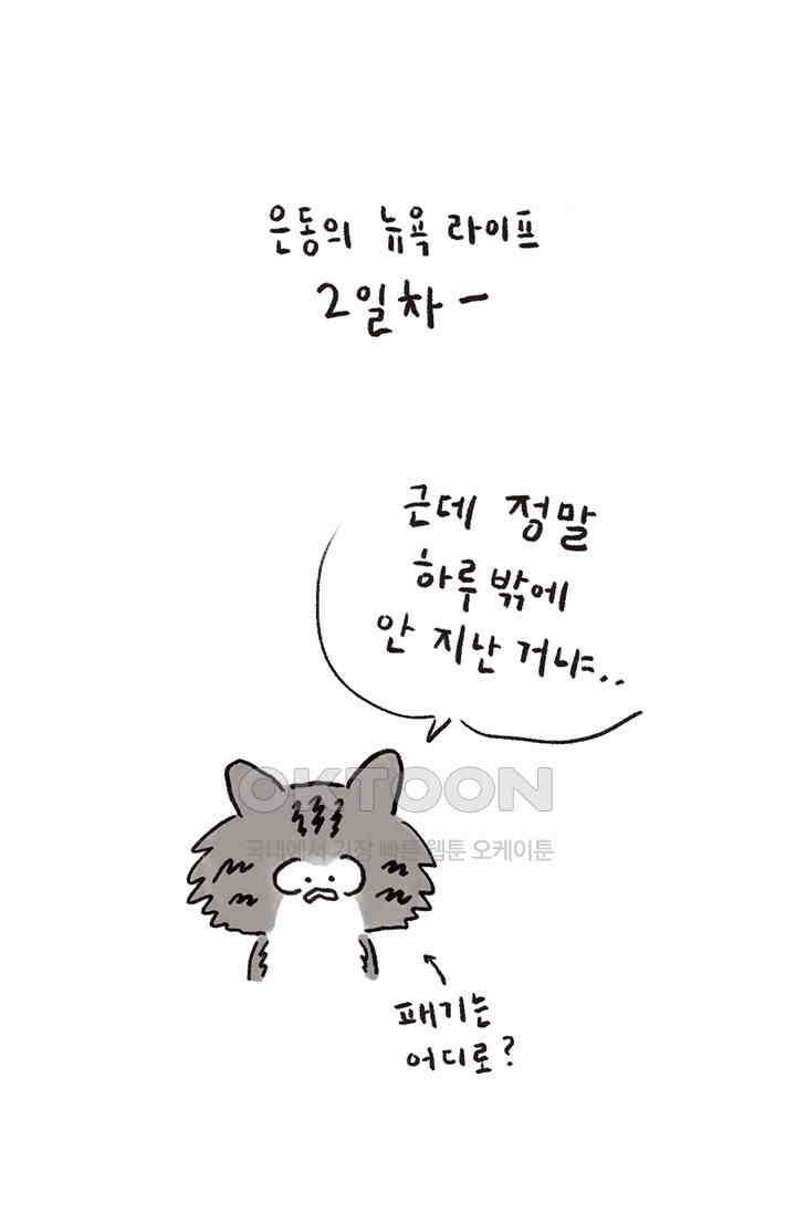 은동스+옹동스 은동스 235화． 뉴욕은 터프하다 2