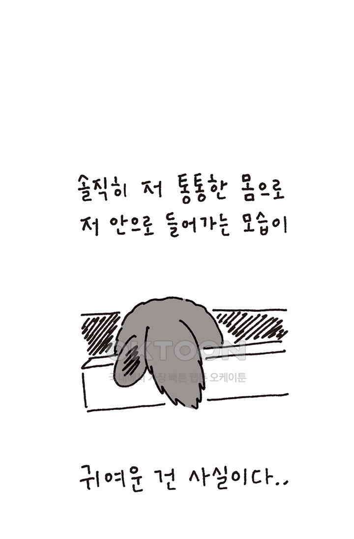 은동스+옹동스 은동스 291화． 청개구리를 기억하라 5