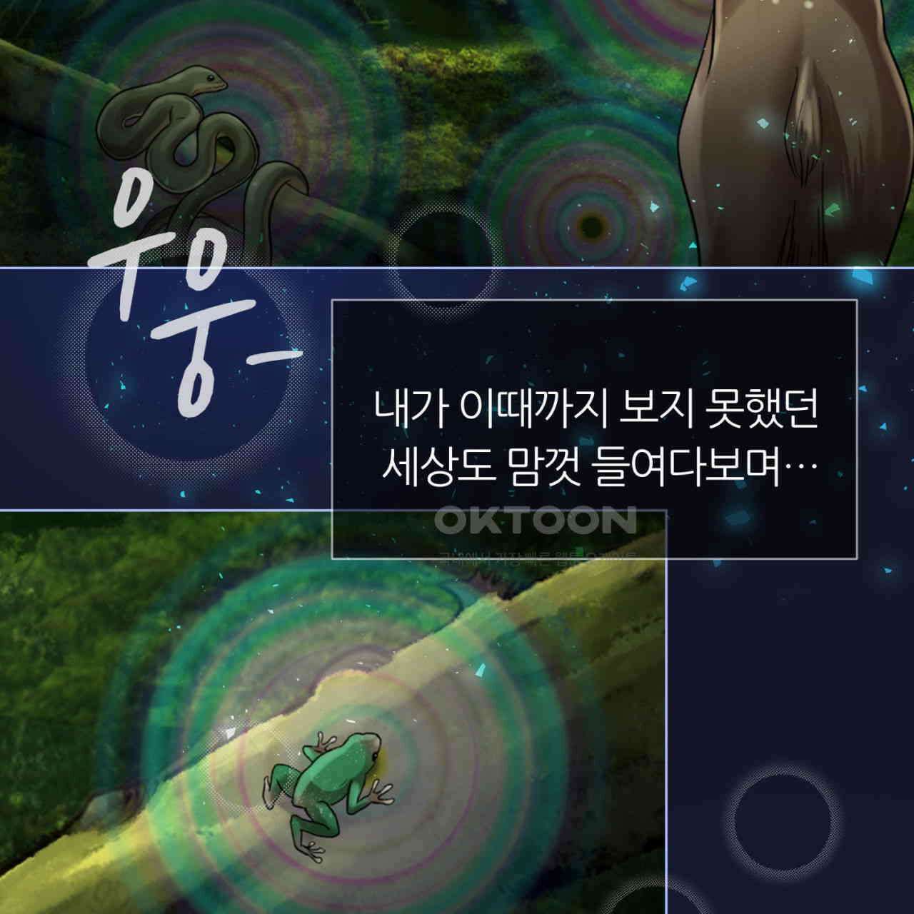 써드아이 심안 9