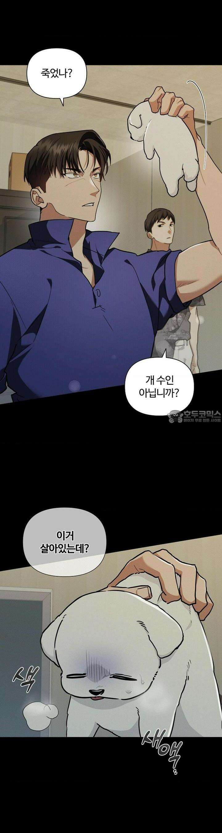 강아지는 건드리지 마라 16화 6