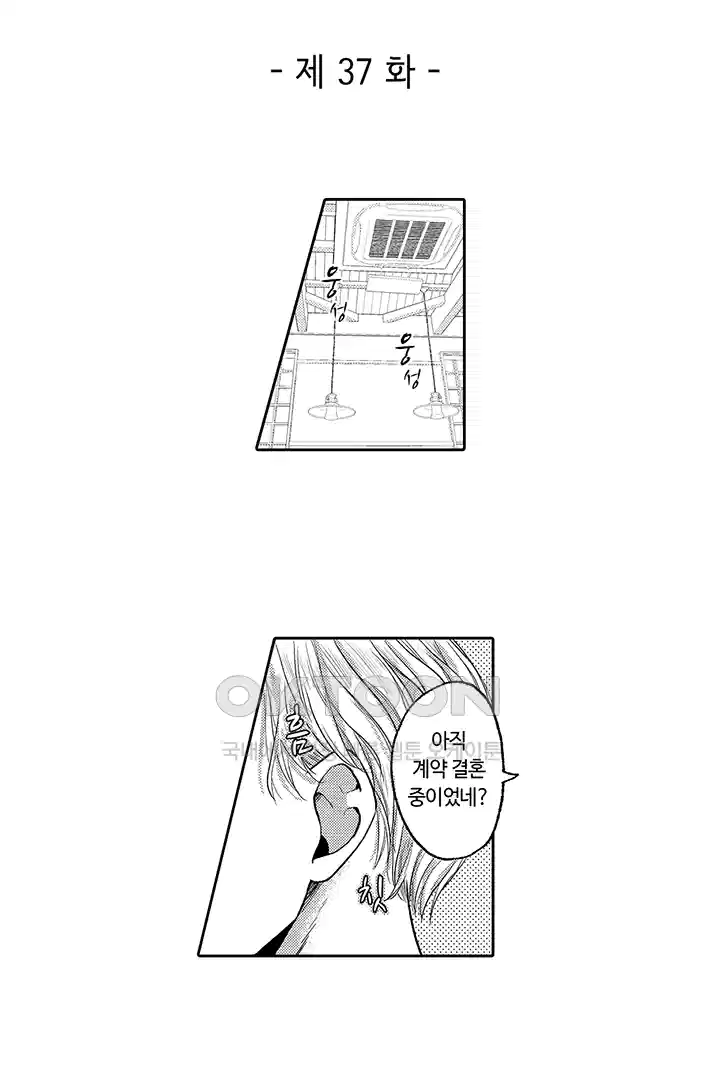 [레드툰] 몸이 사랑하는 계약 결혼 37화 2