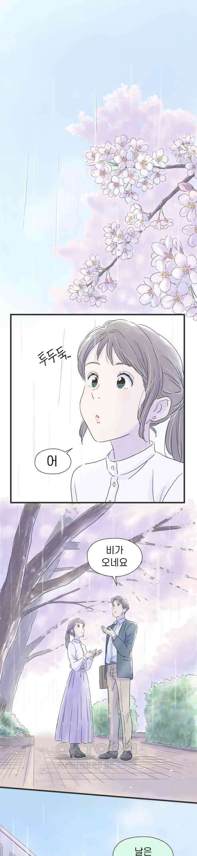 소중한 날은 언제나 비가 내린다 제31화 쏟아지는 벚꽃 3