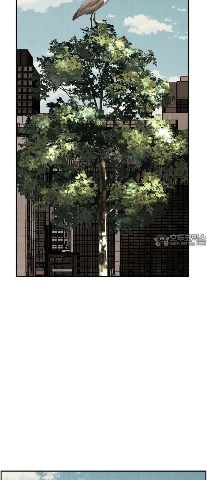 미래의 골동품 가게 175화 - 해말섬에서 온 손님 (10) 9