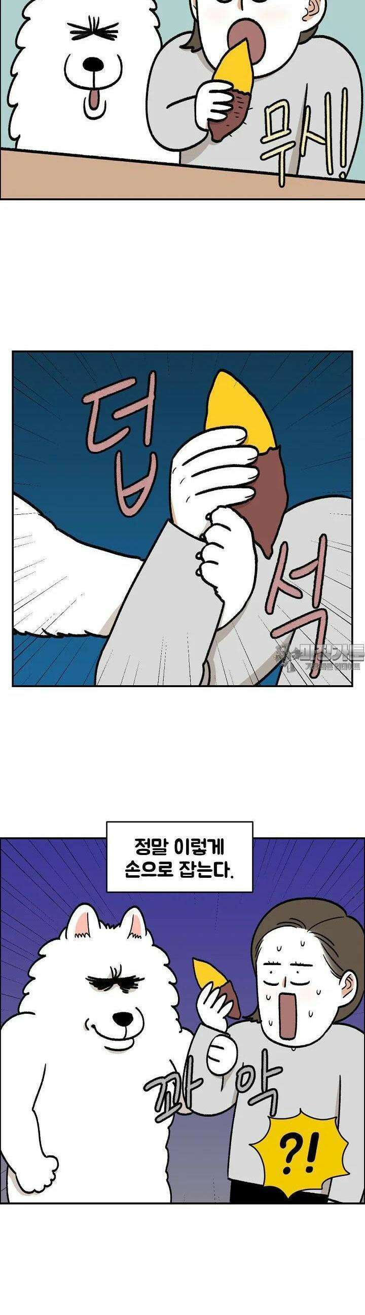 극한견주 외전 2화 인간의 음식을 탐하는 개 3
