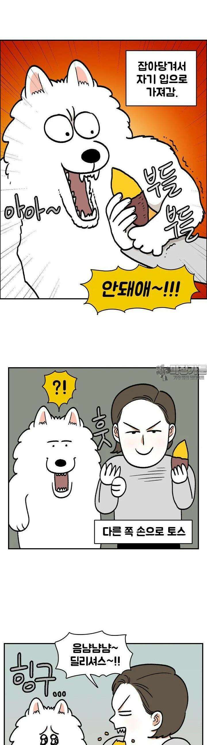 극한견주 외전 2화 인간의 음식을 탐하는 개 4