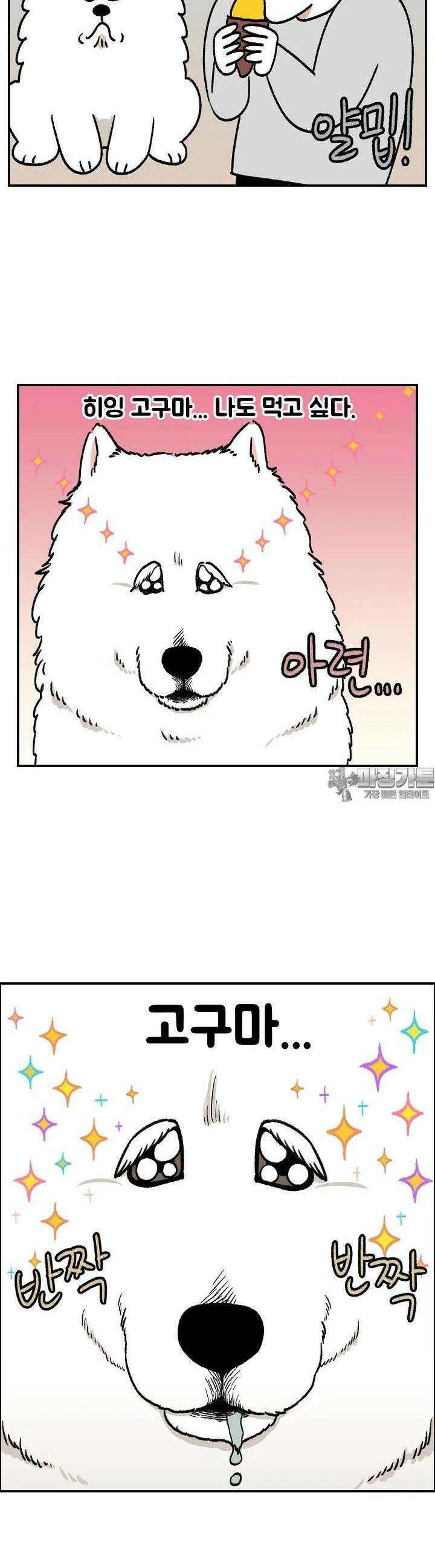 극한견주 외전 2화 인간의 음식을 탐하는 개 5