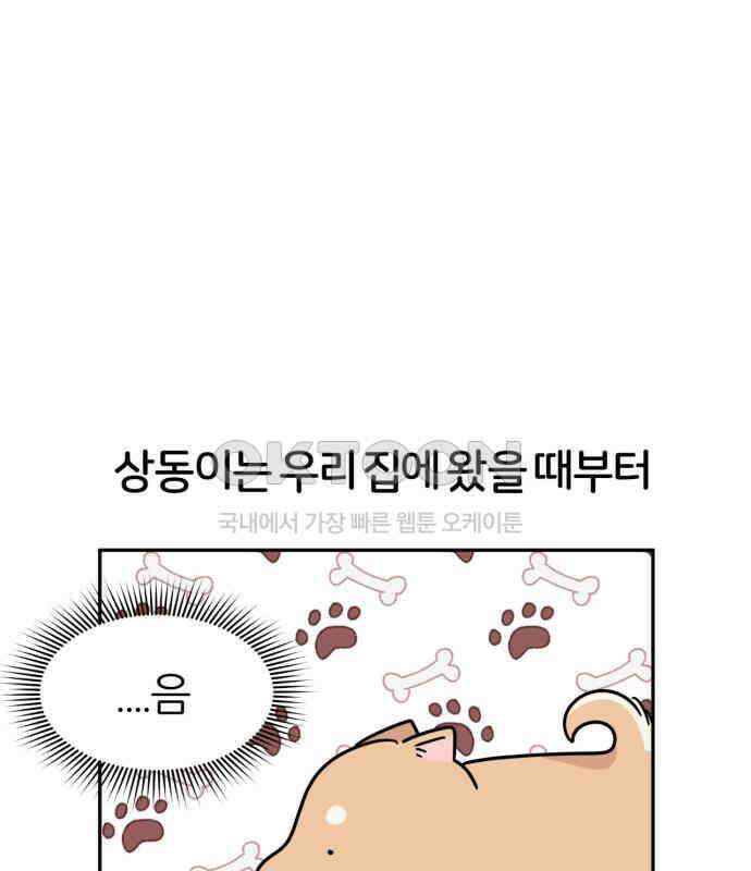 시바, 만만치 않다 15화 8