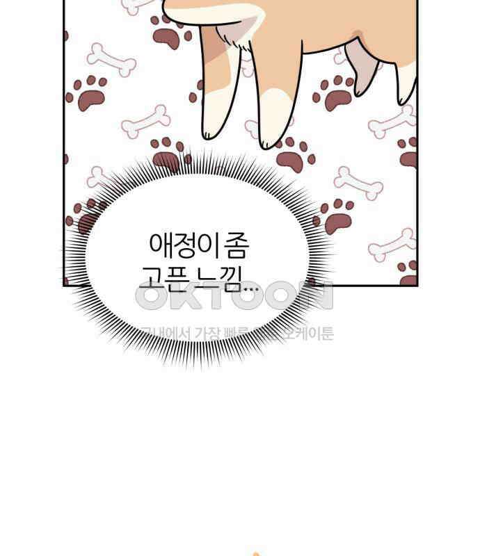 시바, 만만치 않다 15화 9