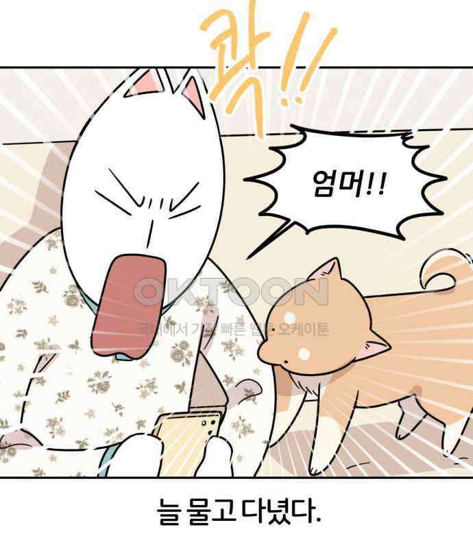 시바, 만만치 않다 15화 10