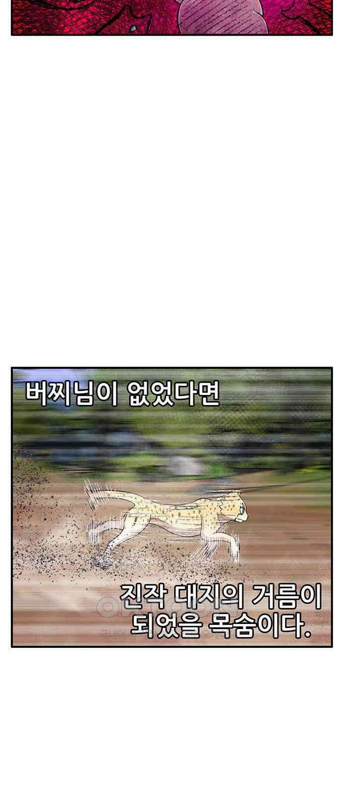 만물의 영장 FINAL 29화 땅장군 치토 77