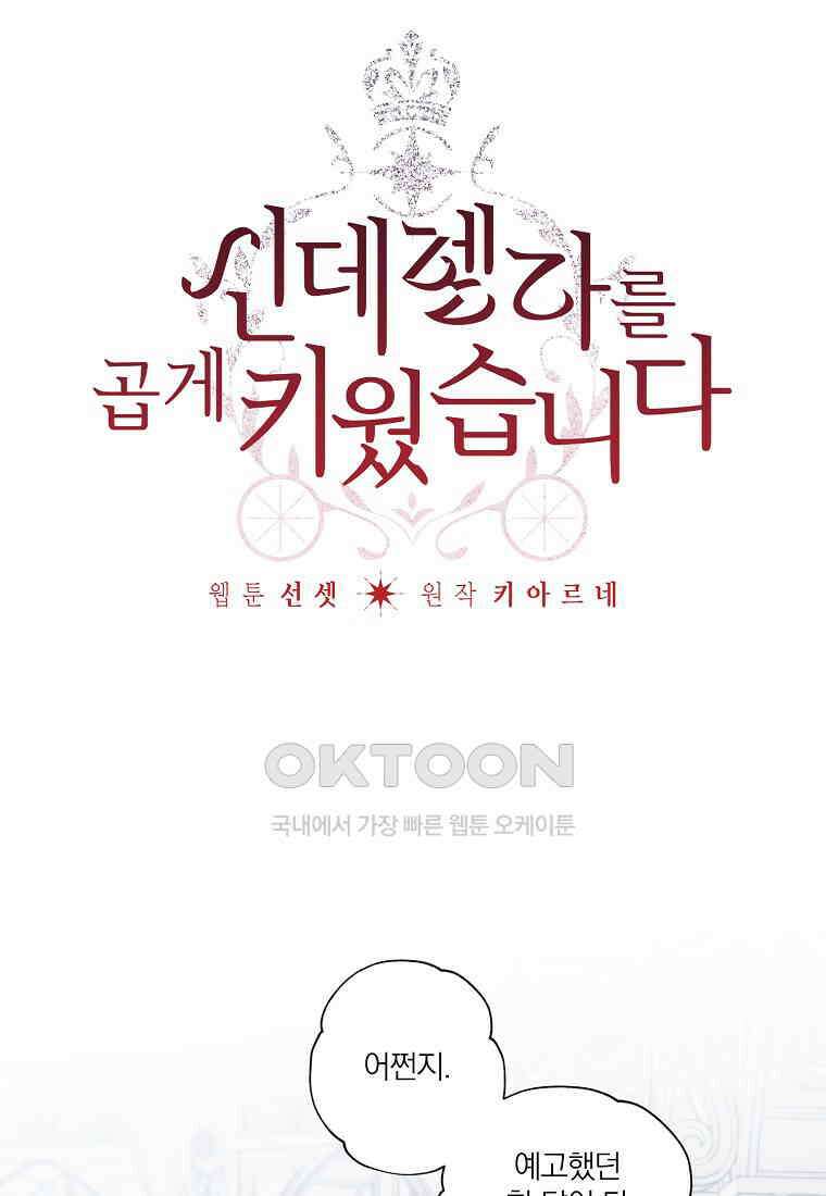 신데렐라를 곱게 키웠습니다 137화 14