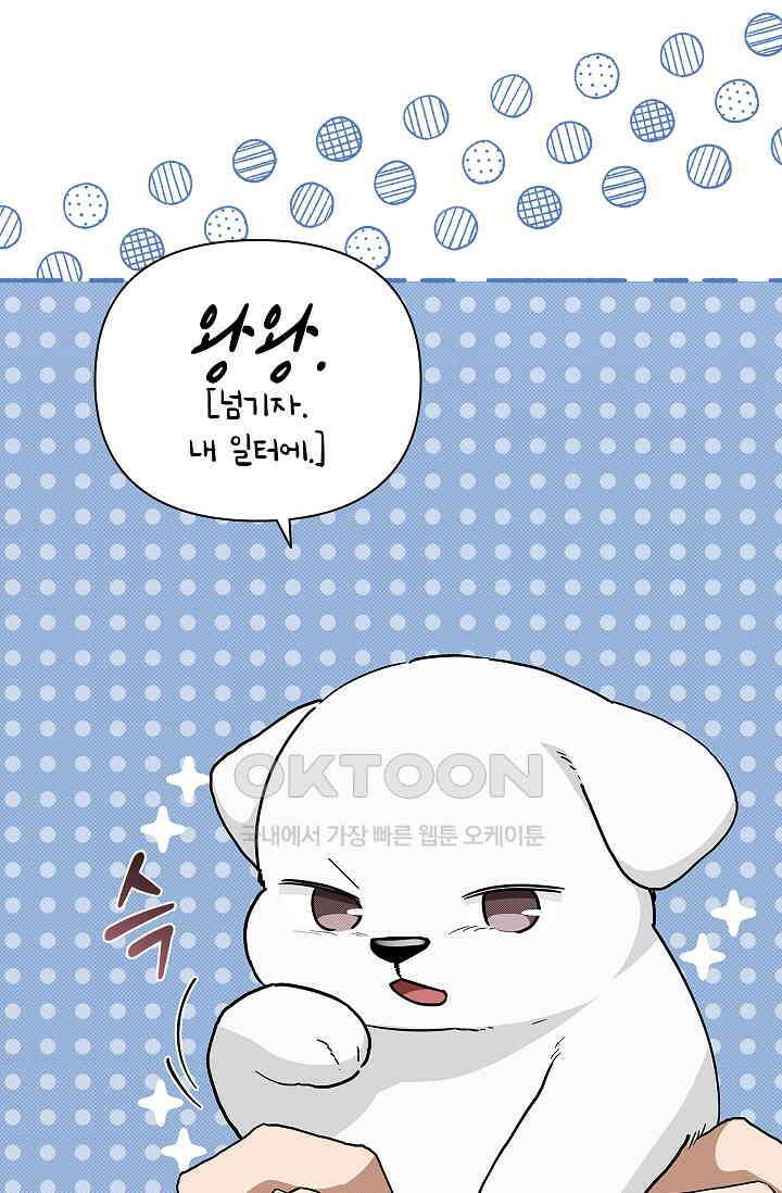강아지는 건드리지 마라 18화 13