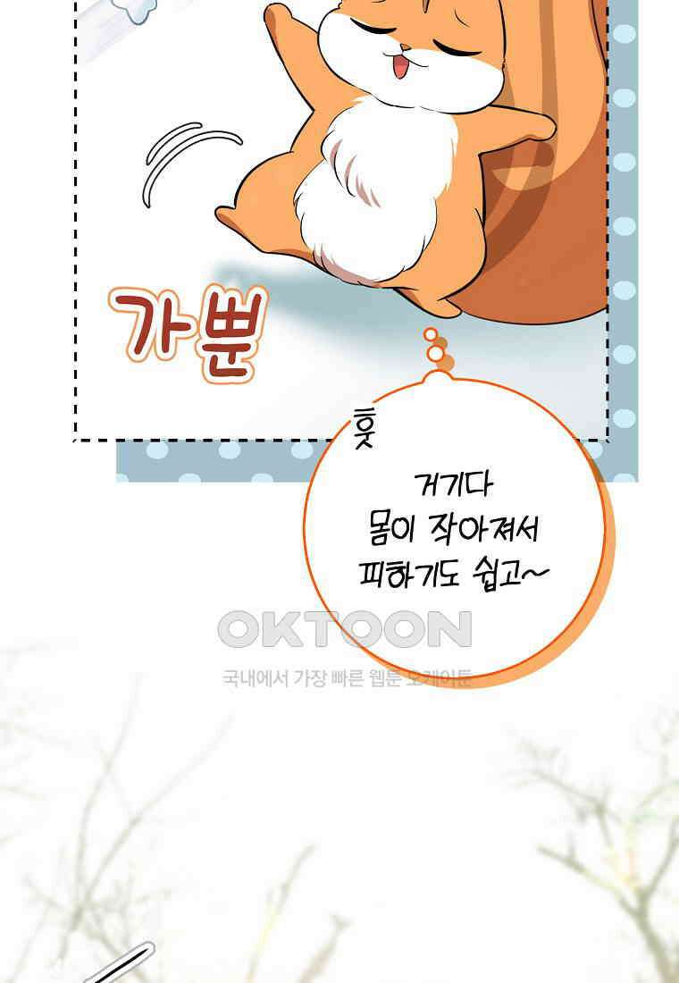 아기 다람쥐가 다 잘해요 78화 78