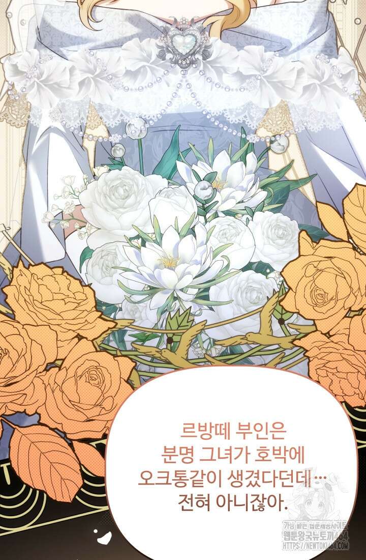 아젤다 : 정령사의 계약 결혼 14화 14