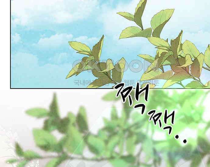 간택주의보 53화 3