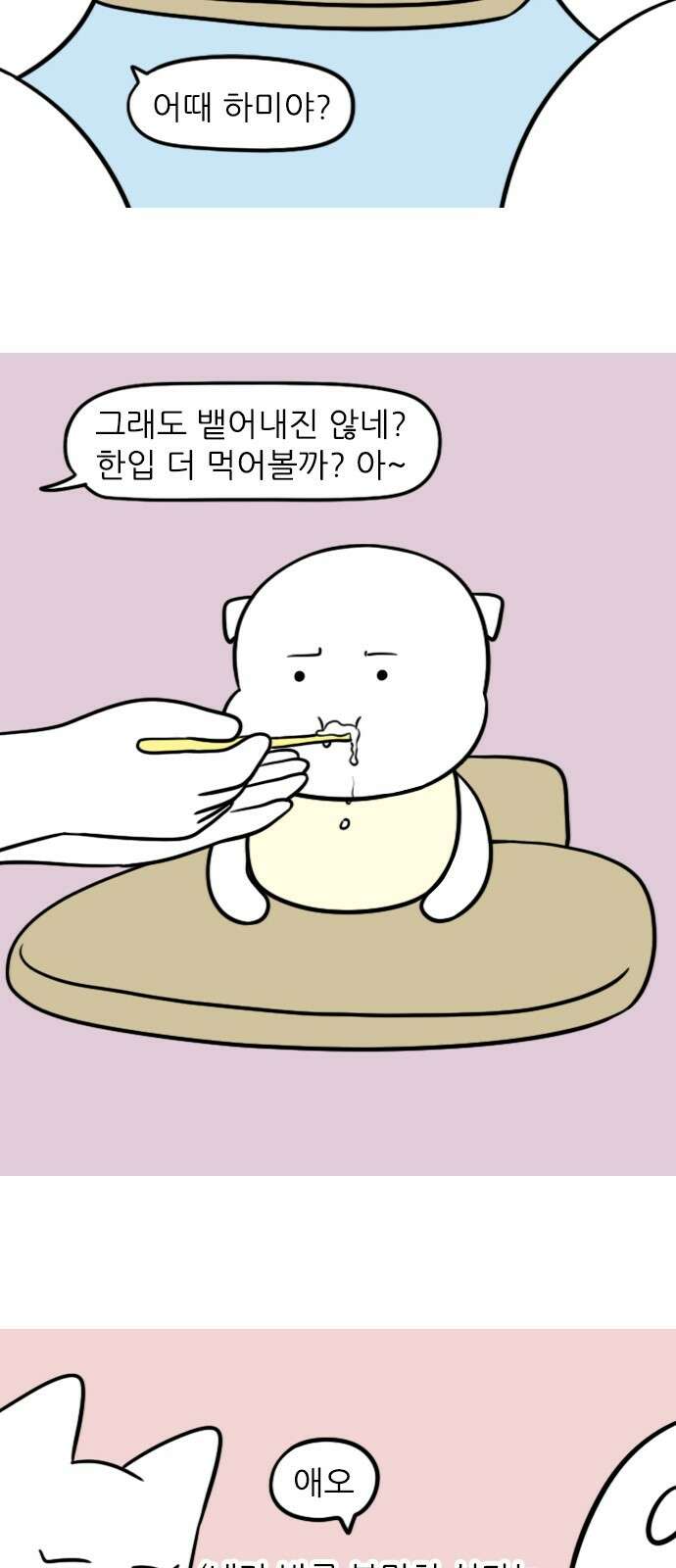 신혼일기 100화 첫 이유식 4