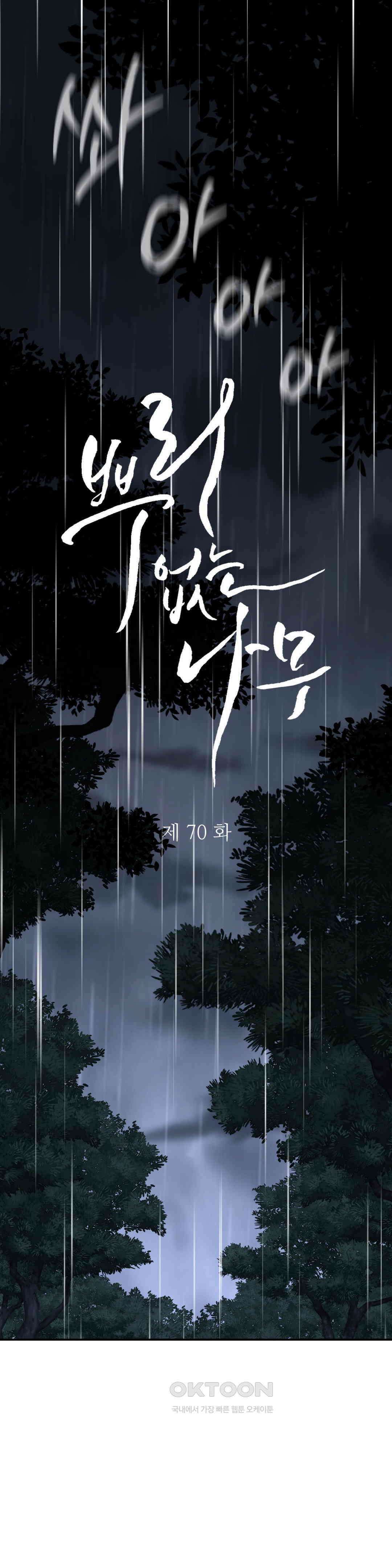 뿌리 없는 나무 70화 1