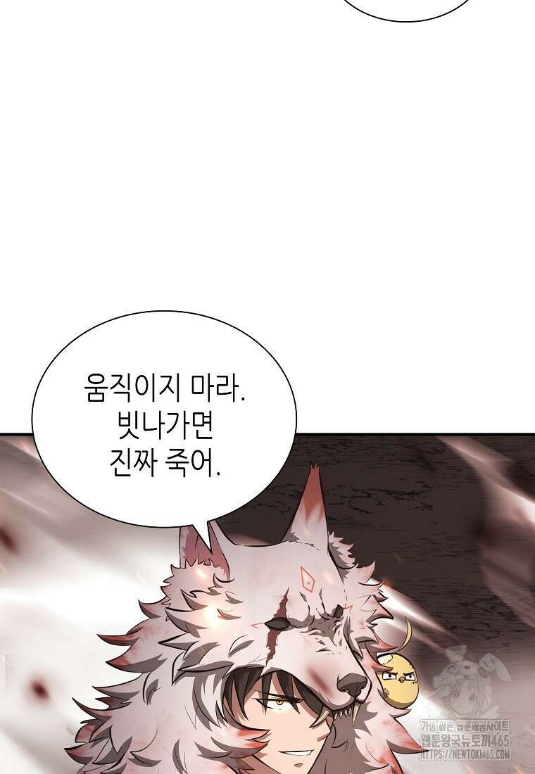회귀했는데 FFF급 부두술사 100화 21