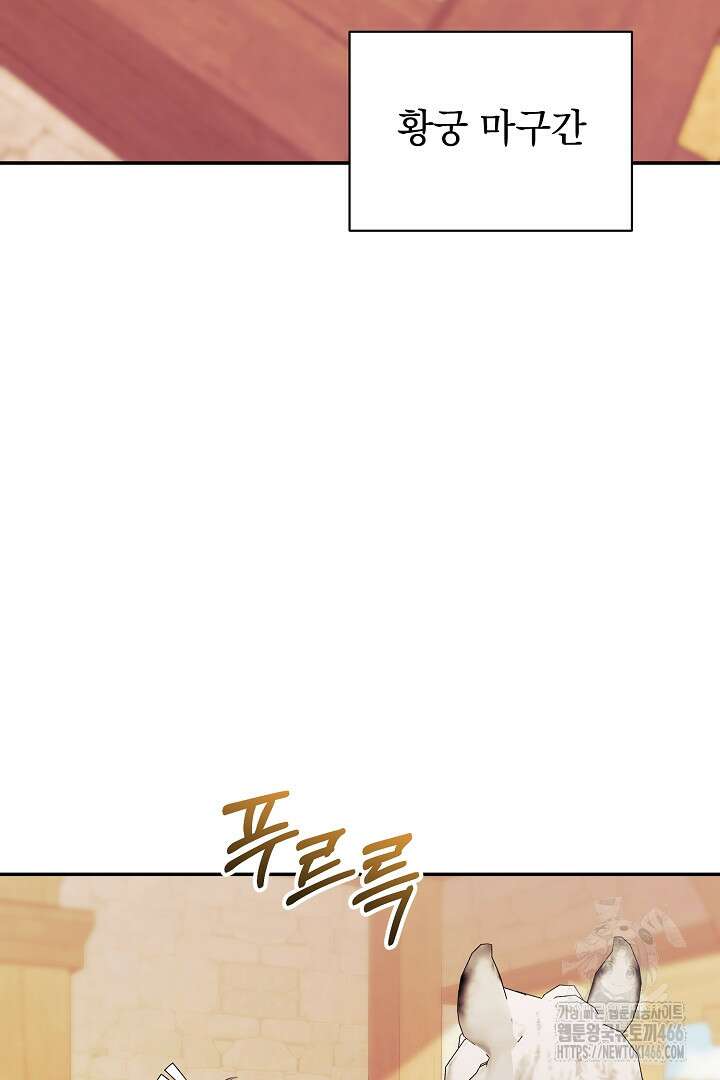 폭군에게 찍힌 민폐 황후입니다 33화 79