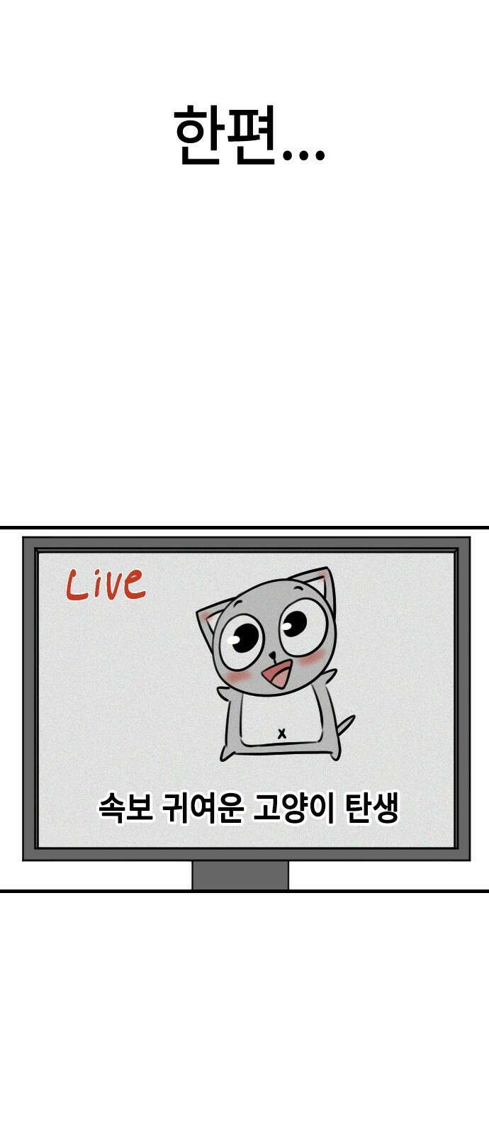 천재 곰먐미 김순자 10화 - 최강 귀요미 탄생 37