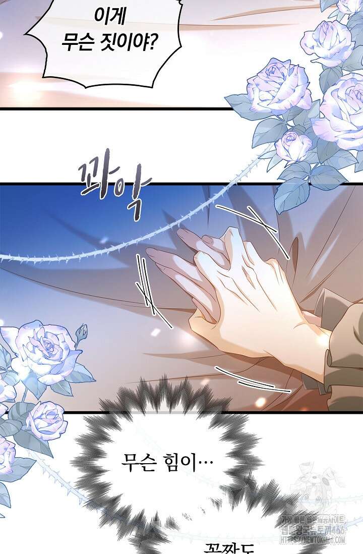 황태자의 용으로 태어났다 31화 5