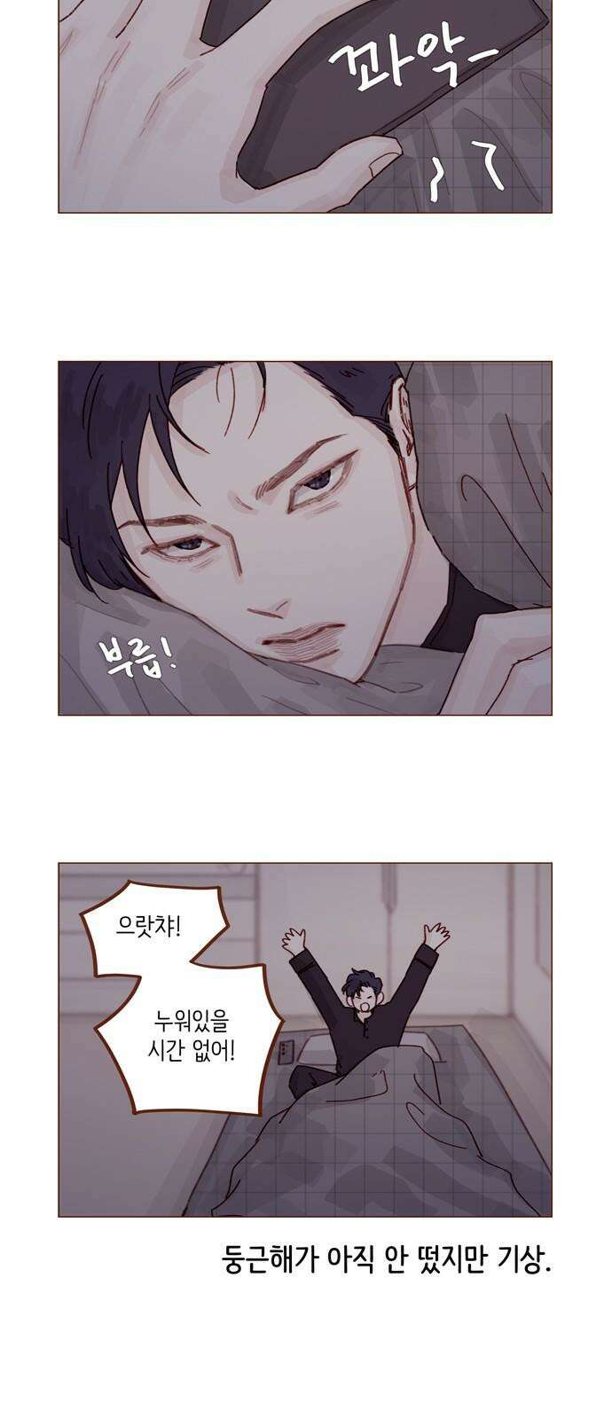 홍시는 날 좋아해! 296화 : 해가 될 수도 있는 거잖아 29