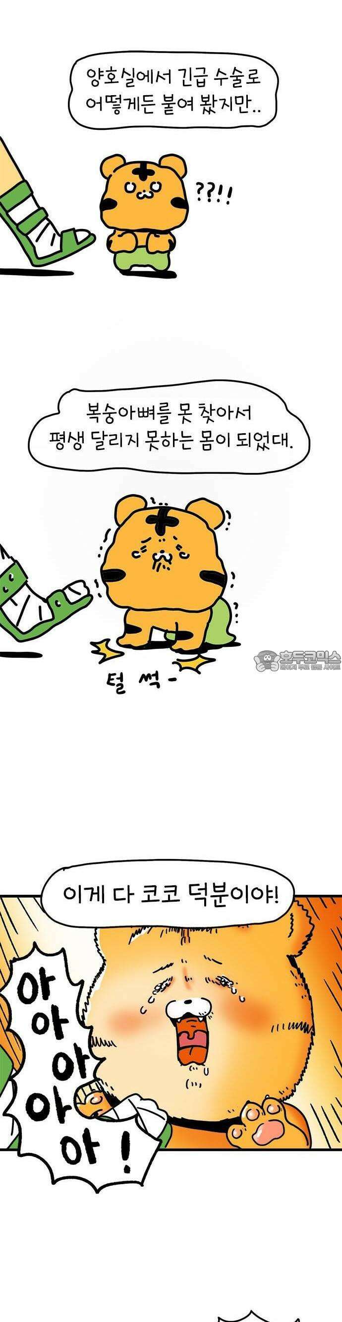 소심한 호랭이 코코 30화 짝꿍 바꾸는 날 (1) 6