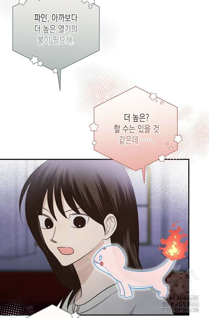 S급 정령사의 테이밍 일기 27화 12