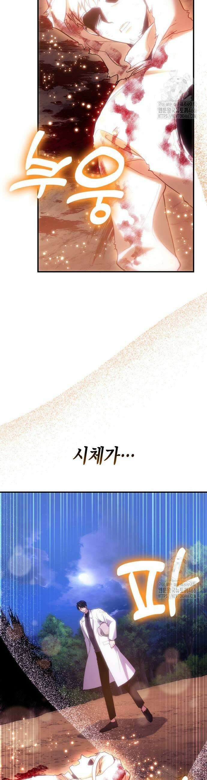 야매 힐러로 사는 법 84화 55