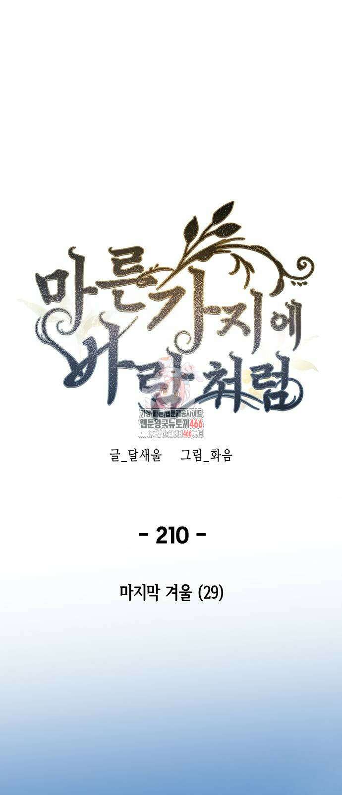 마른 가지에 바람처럼 210화 1