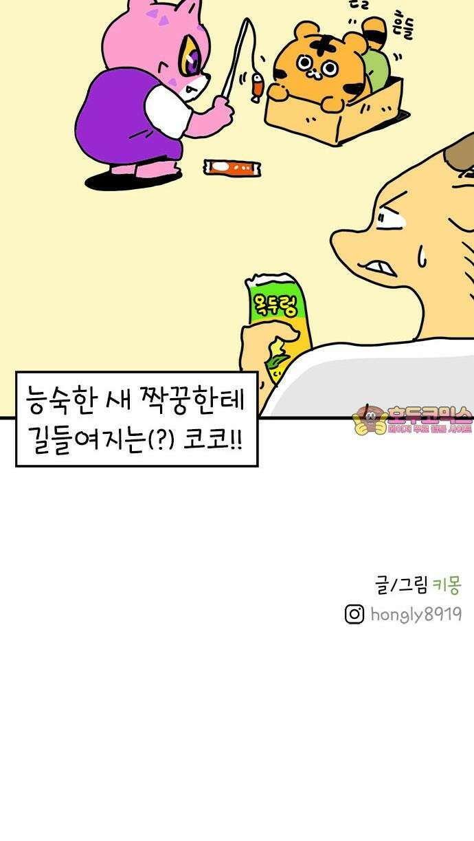 소심한 호랭이 코코 31화 짝꿍 바꾸는 날 (2) 완 51