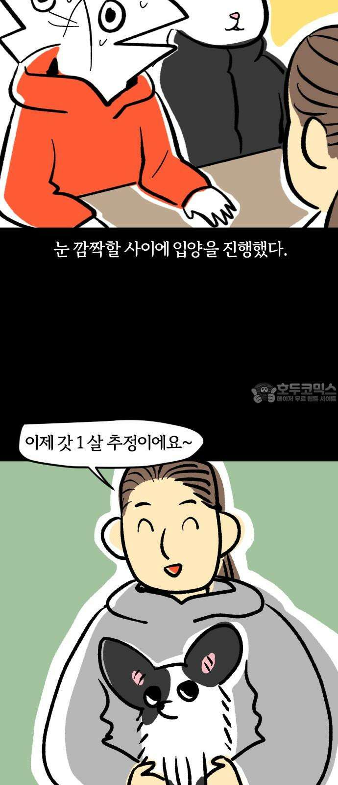 개집사 50화: 애완 하이에나 15