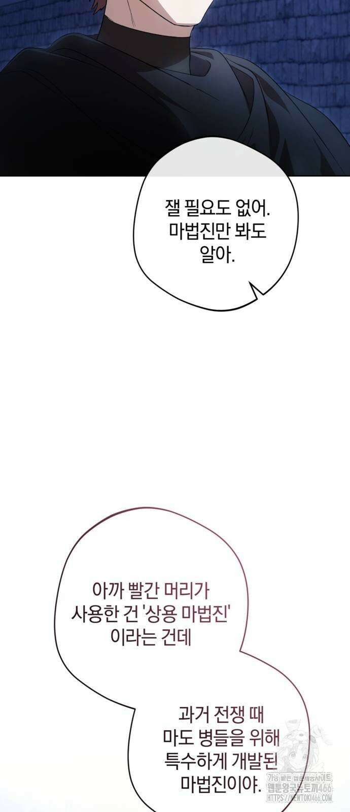 악역 폭군이 회귀해 버렸다 26화 9