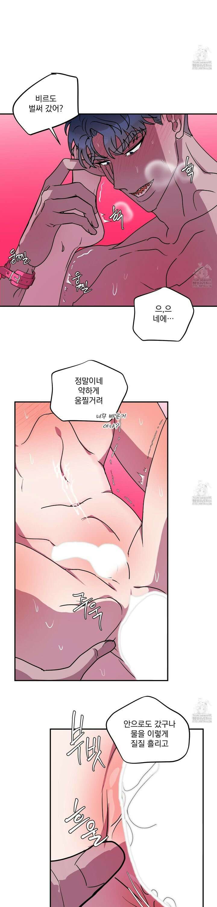 상어에게서 토끼는 방법 51화 11