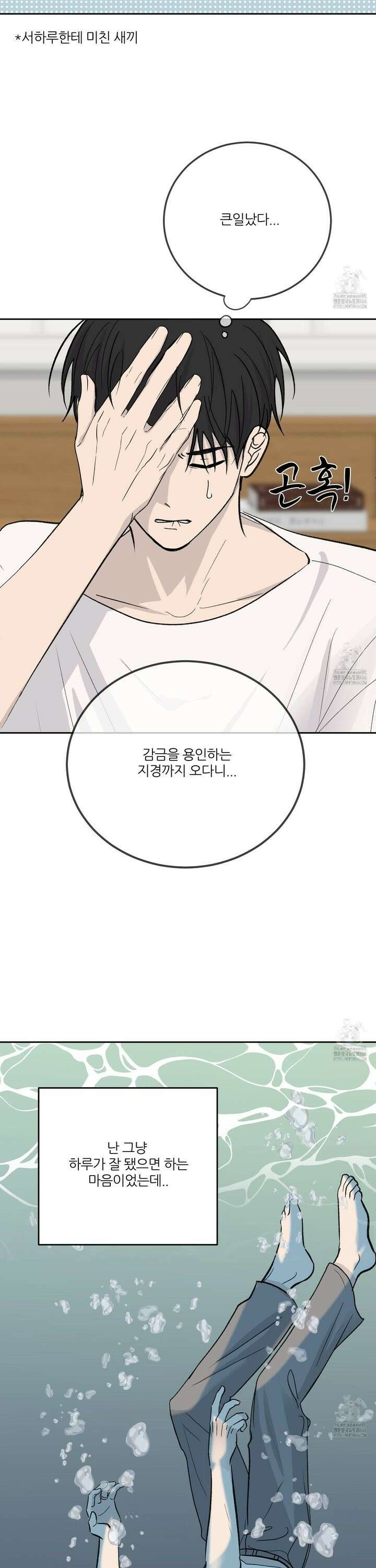 행방불명 로맨스 47화 20
