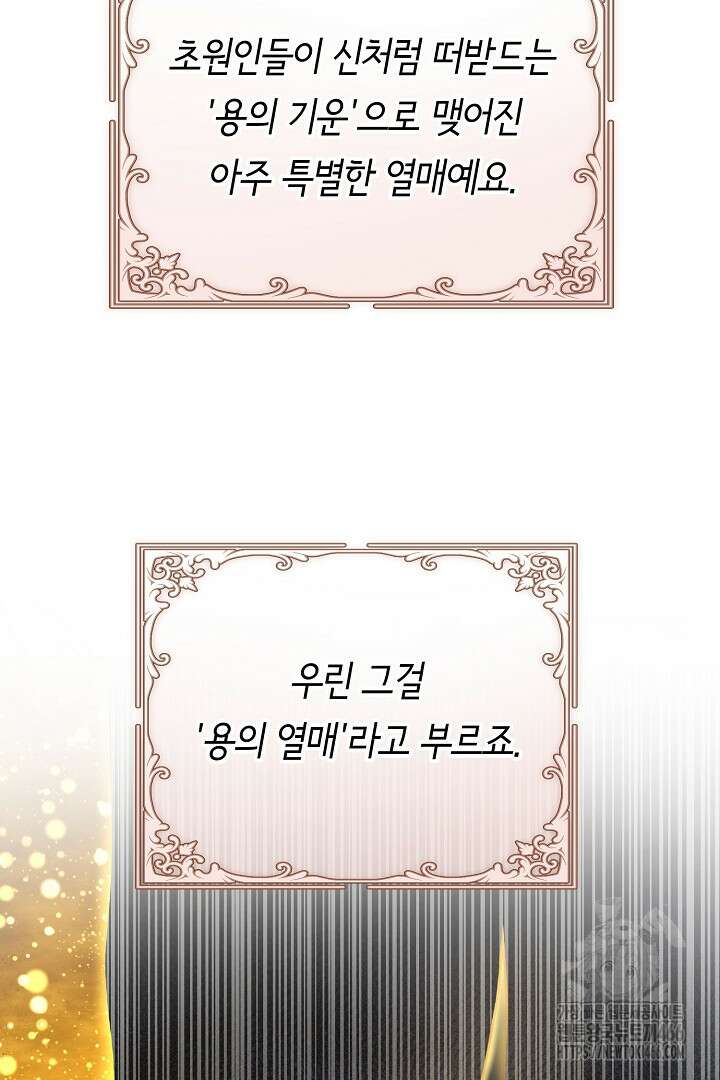 달아날 수 없게 만들어 62화 14